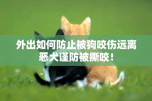外出如何防止被狗咬傷遠離惡犬謹防被撕咬！