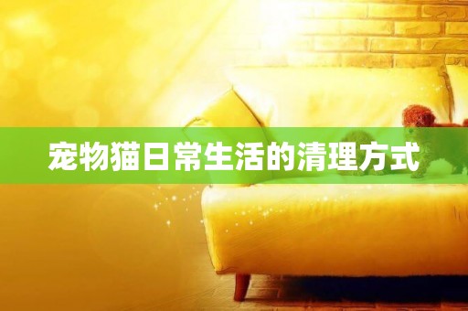 寵物貓日常生活的清理方式