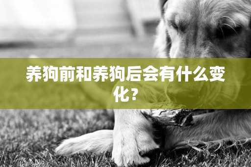 養狗前和養狗后會有什么變化？