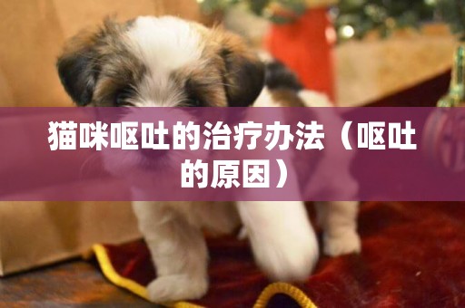 貓咪嘔吐的治療辦法（嘔吐的原因）