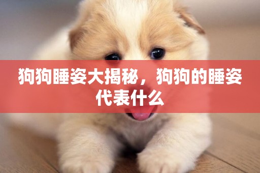 狗狗睡姿大揭秘，狗狗的睡姿代表什么