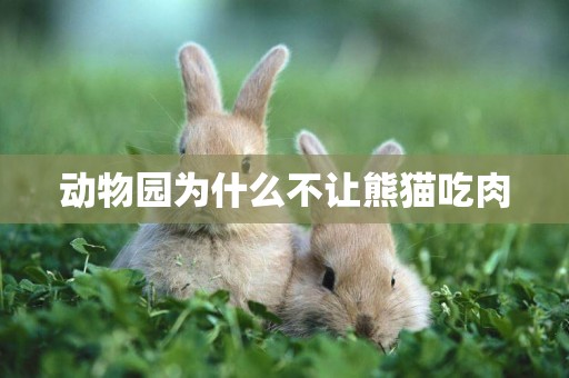 動物園為什么不讓熊貓吃肉