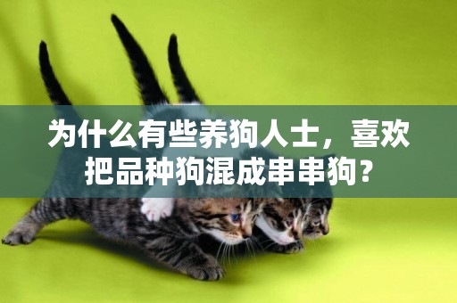 為什么有些養狗人士，喜歡把品種狗混成串串狗？