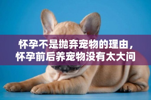 懷孕不是拋棄寵物的理由，懷孕前后養寵物沒有太大問題