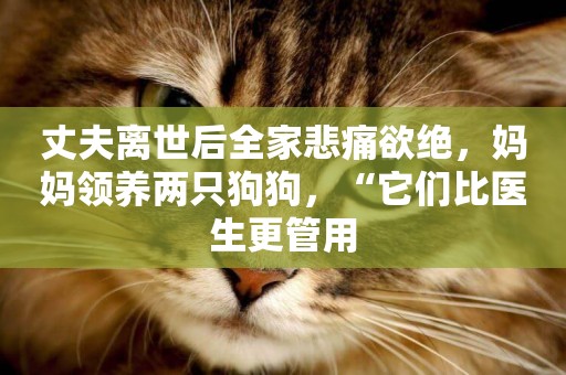 丈夫離世后全家悲痛欲絕，媽媽領養兩只狗狗，“它們比醫生更管用