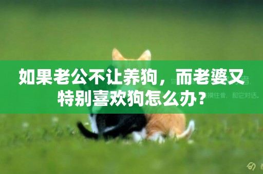 如果老公不讓養狗，而老婆又特別喜歡狗怎么辦？