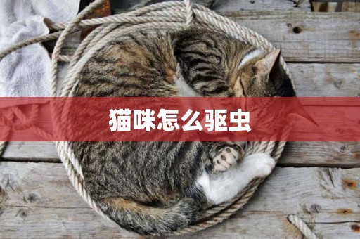 貓咪怎么驅蟲