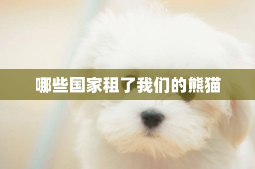 哪些國家租了我們的熊貓