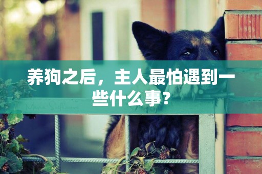 養狗之后，主人最怕遇到一些什么事？