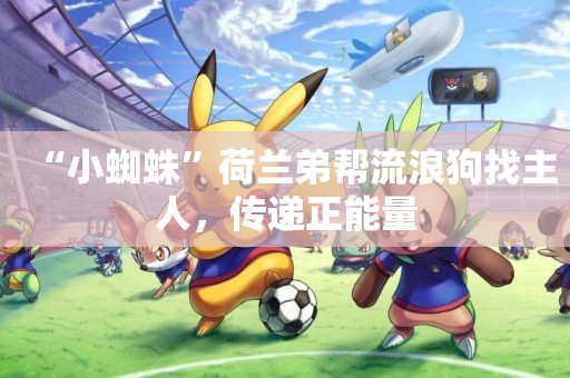“小蜘蛛”荷蘭弟幫流浪狗找主人，傳遞正能量