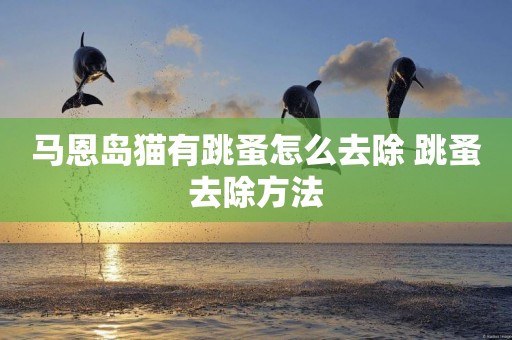 馬恩島貓有跳蚤怎么去除 跳蚤去除方法