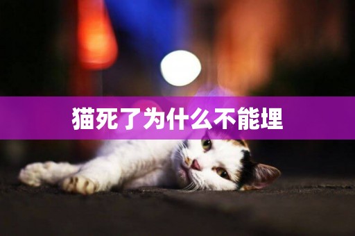 貓死了為什么不能埋