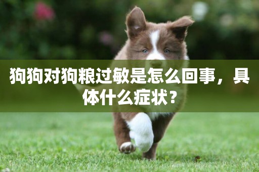 狗狗對狗糧過敏是怎么回事，具體什么癥狀？
