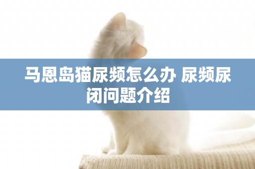 馬恩島貓尿頻怎么辦 尿頻尿閉問題介紹