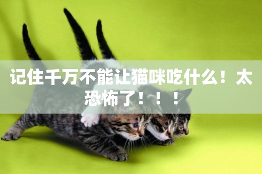 記住千萬不能讓貓咪吃什么！太恐怖了！！！