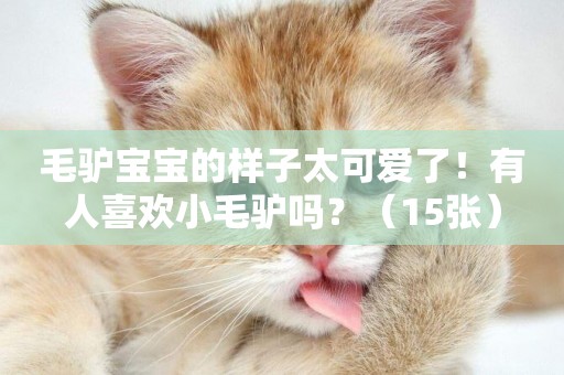 毛驢寶寶的樣子太可愛了！有人喜歡小毛驢嗎？（15張）