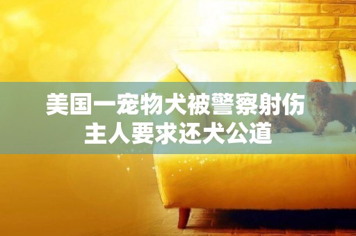 美國一寵物犬被警察射傷 主人要求還犬公道