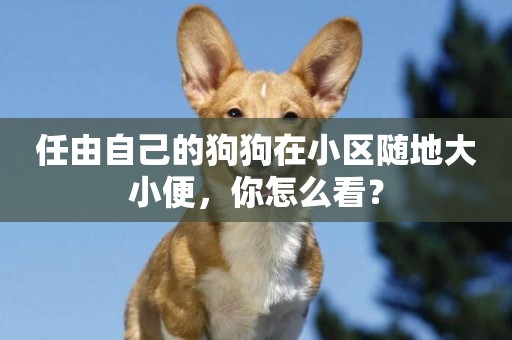 任由自己的狗狗在小區隨地大小便，你怎么看？