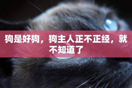 狗是好狗，狗主人正不正經，就不知道了