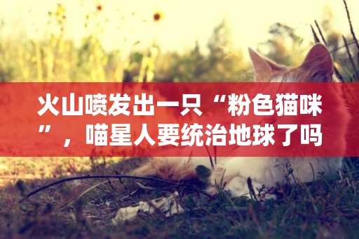 火山噴發出一只“粉色貓咪”，喵星人要統治地球了嗎？