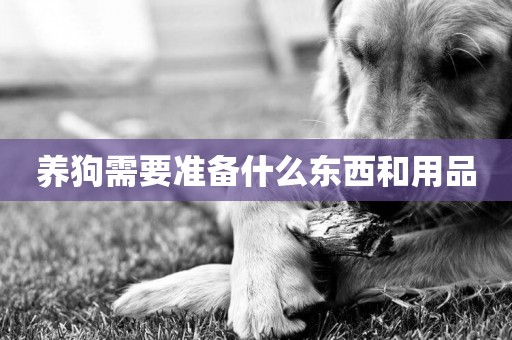 養狗需要準備什么東西和用品