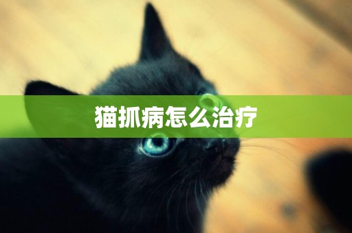 貓抓病怎么治療