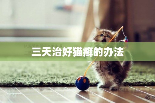 三天治好貓癬的辦法