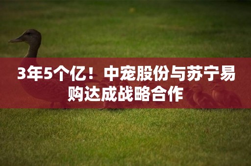 3年5個億！中寵股份與蘇寧易購達成戰略合作