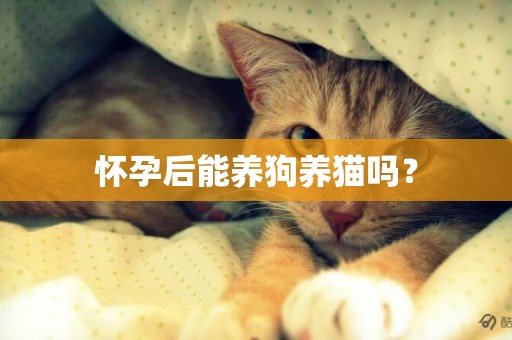 懷孕后能養狗養貓嗎？