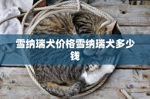 雪納瑞犬價格雪納瑞犬多少錢