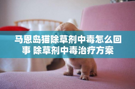 馬恩島貓除草劑中毒怎么回事 除草劑中毒治療方案