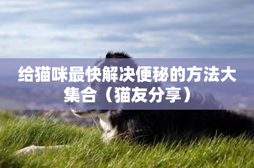 給貓咪最快解決便秘的方法大集合（貓友分享）