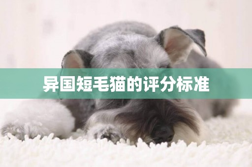 異國短毛貓的評分標準