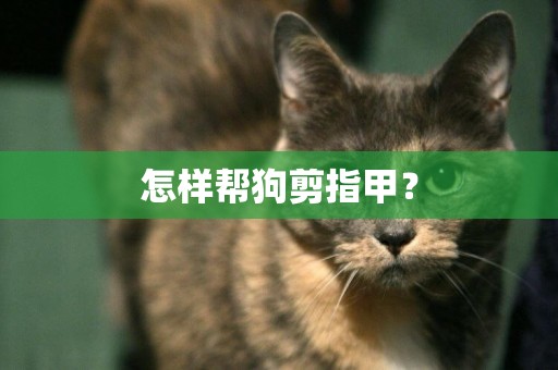 怎樣幫狗剪指甲？