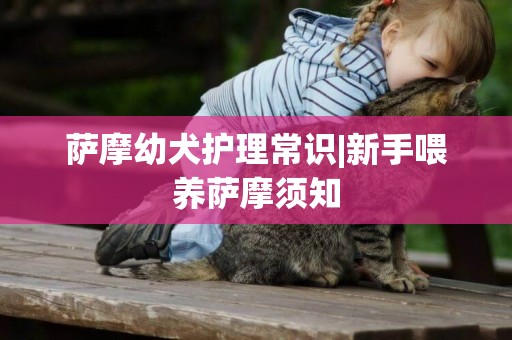 薩摩幼犬護理常識|新手喂養薩摩須知