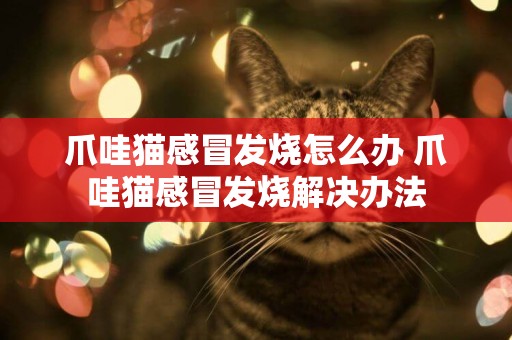 爪哇貓感冒發燒怎么辦 爪哇貓感冒發燒解決辦法