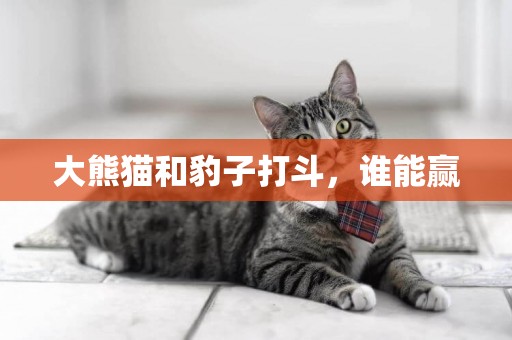 大熊貓和豹子打斗，誰能贏