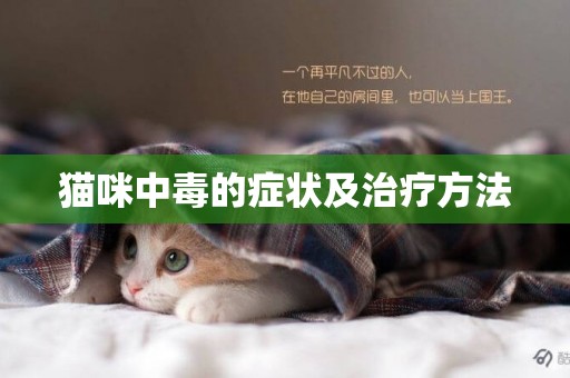 貓咪中毒的癥狀及治療方法