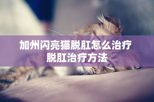 加州閃亮貓脫肛怎么治療 脫肛治療方法