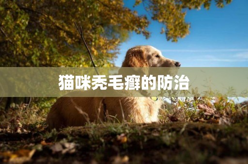 貓咪禿毛癬的防治