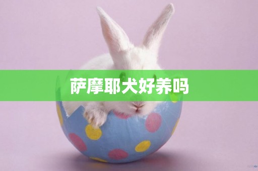 薩摩耶犬好養嗎