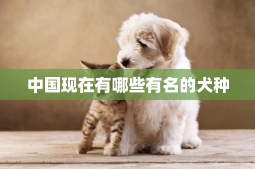 中國現在有哪些有名的犬種