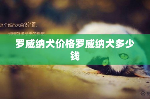 羅威納犬價格羅威納犬多少錢