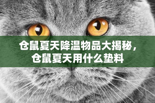 倉鼠夏天降溫物品大揭秘，倉鼠夏天用什么墊料