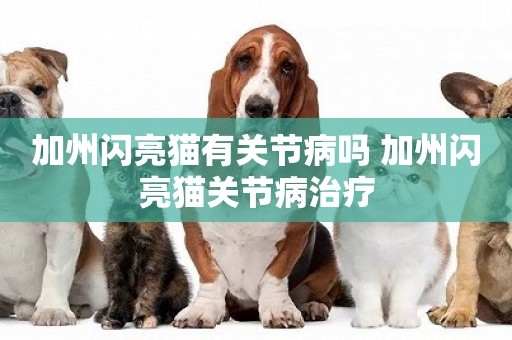 加州閃亮貓有關節病嗎 加州閃亮貓關節病治療