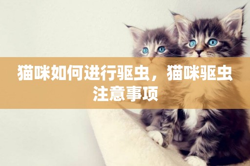 貓咪如何進行驅蟲，貓咪驅蟲注意事項