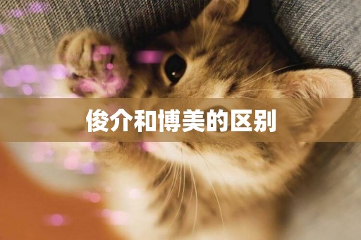 俊介和博美的區別