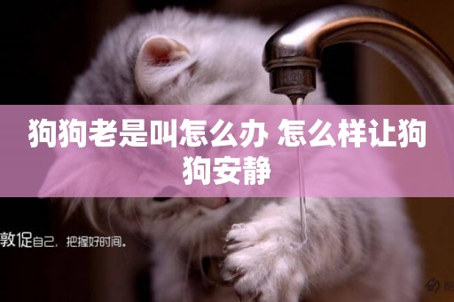 狗狗老是叫怎么辦 怎么樣讓狗狗安靜