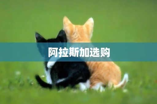 阿拉斯加選購