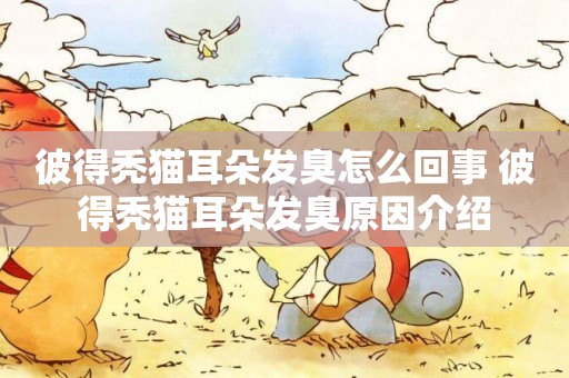 彼得禿貓耳朵發臭怎么回事 彼得禿貓耳朵發臭原因介紹